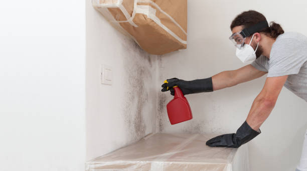 Professional Crawl Space Mold Removal technician working in Chester, MD