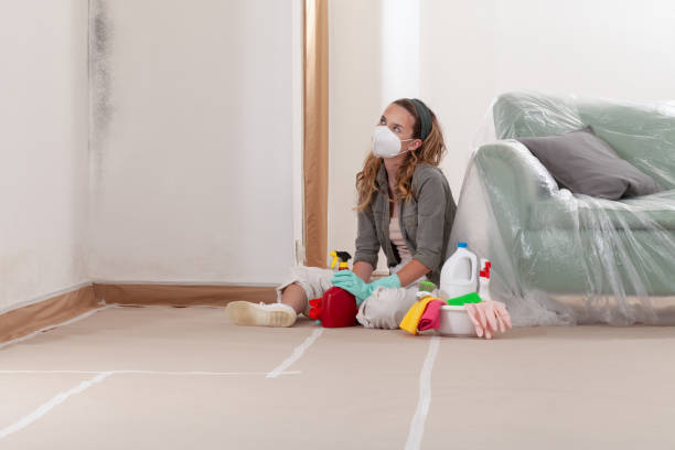 Reliable Mold Cleanup contractor in Chester, MD by Cheap Mold Removal